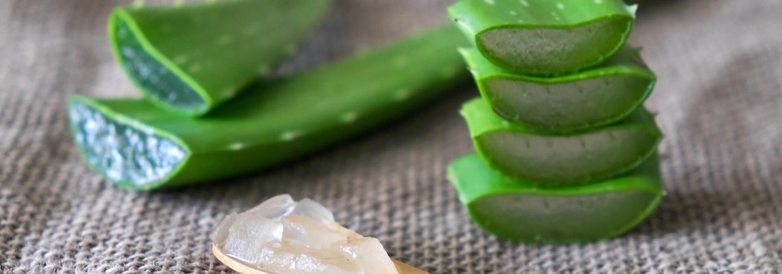 KEBAIKAN ALOE VERA